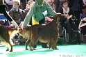 Crufts2011 550